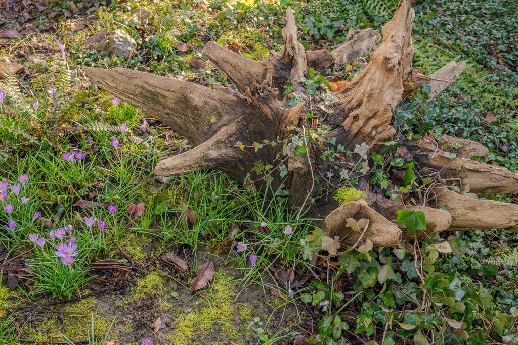 Graaf de Hompeschstraat 2, Ohe en Laak_56.jpg